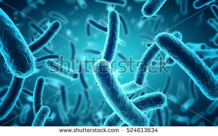 Bacteria: Who’s in&nbsp;Charge?