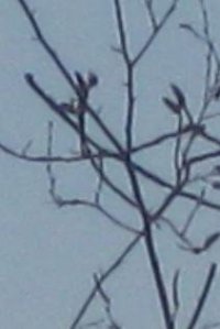 206233_1677345614307_4223349_n