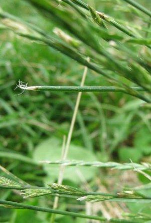 262771_1848794020410_974691_n