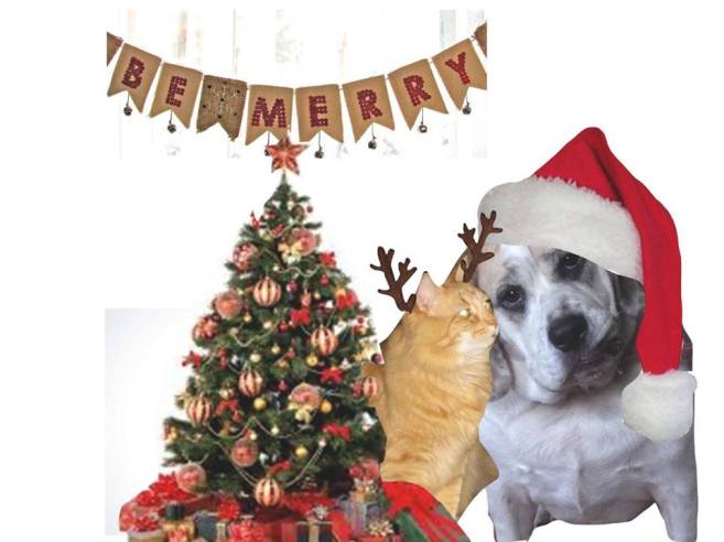 10696296_10203487483808558_1818994527115986628_n