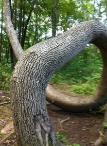 1003209_10200524139046791_297273286_n