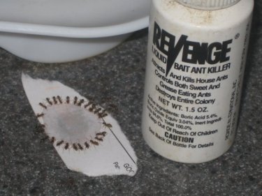 10400208_1079468507753_5559831_n