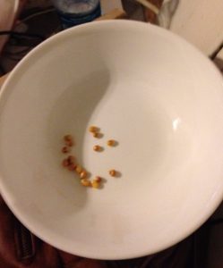 10487227_10203758851792588_7420181868210381683_n