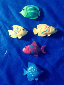 10730995_10203713443737415_5725537032888684935_n