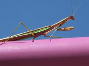 314716_2083133318746_1741543219_n