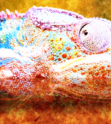 paintingchameleon