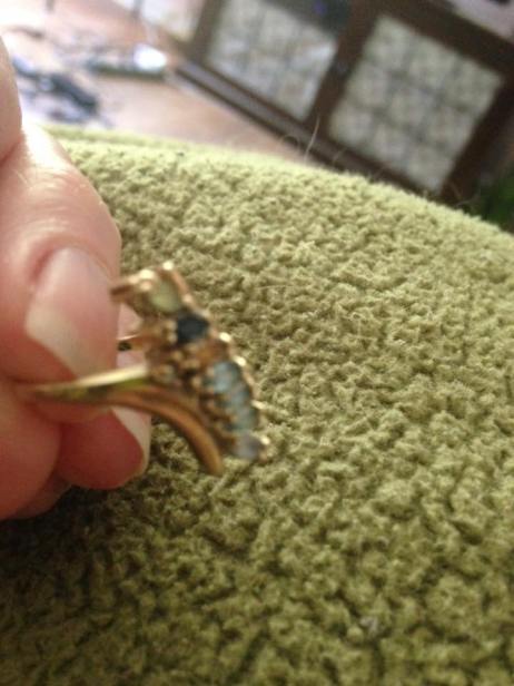 13697097_10207063670370987_2490804343347167199_n