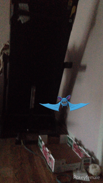 b572d760-1d1f-47c9-8b5a-bed7c1a5fde0