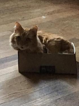 14355707_560549760820111_1392862554323272958_n