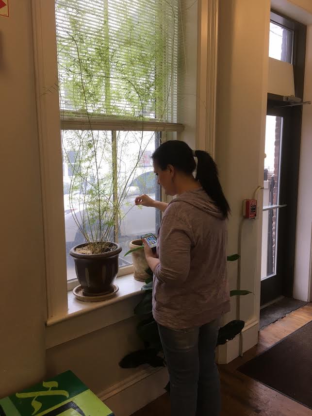 Autism AWARENESS is&nbsp;Multi-Faceted