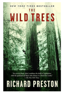 2018-04-04 12_14_39-The Wild Trees_ A Story of Passion and Daring _ Staples