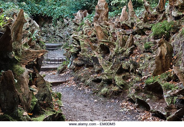 6dfcae3cd24c164cc294da9cc2c15a20--woodland-garden-the-victorian