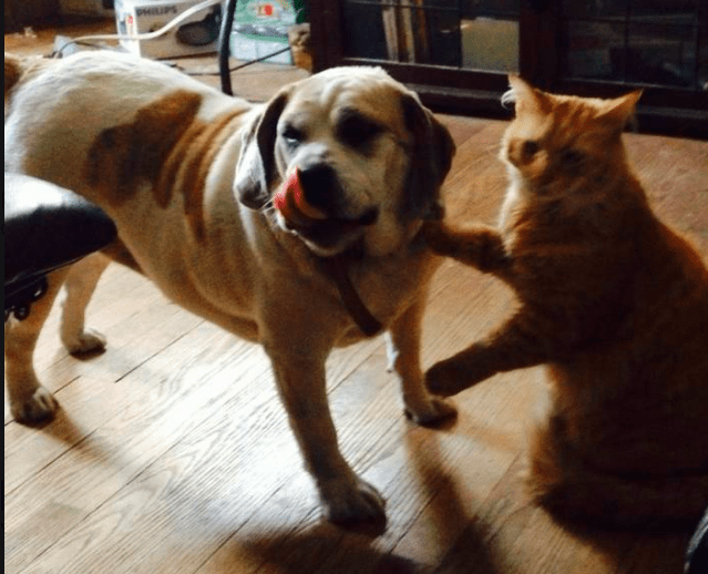 2019-09-22 18_56_59-Window