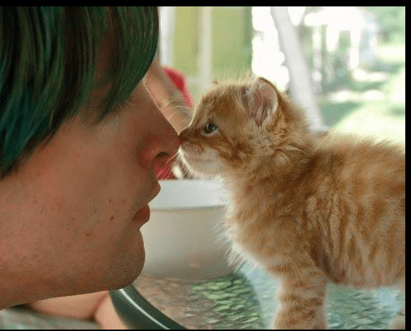 2019-09-22 18_58_08-Window