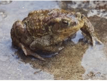 2019-10-27 10_59_11-Window