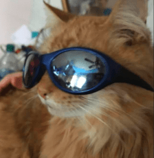 2019-10-27 11_02_35-Window