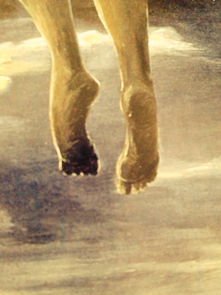 Some of Crows’ and Ravens’ Roles in Fairy Tales and Myth and&nbsp;Literature